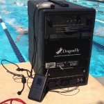 dragonfly by poolside