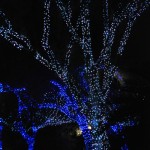 The ZooLights Experience delivers a synchronized lighting and sound show for Phoenix Zoo visitorss