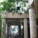 A Noho mounted in the Jaguar exhibit