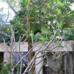 Noho Outdoor Install