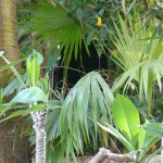 Noho Outdoor Install