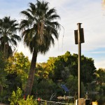 Clearwing selected Technomad not only for sound quality but also for its weatherproof designs, which can withstand the heat, wind, rain and UV rays of the Phoenix area and remain outdoors year-round