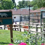 Visitors at the main entranace are greeted with zoo information