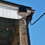 Another Vernal lives by the bald eagle location