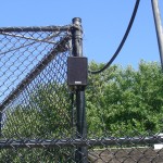 A Vernal near the mountain lion cages