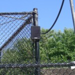 A Vernal near the mountain lion cages