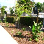 sandpiper-70-volt-berlin