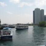 shoreline-river-view
