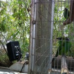 Loudspaker for Zoo Technomad