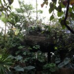 Another view at Dallas World Aquarium