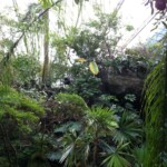 Technomad Nohos and Vienna deliver audio at the Dallas World Aquarium